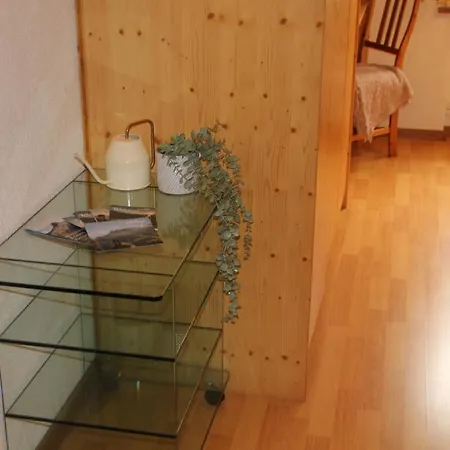 5min Walk To Audi Fis World Cup Swiss