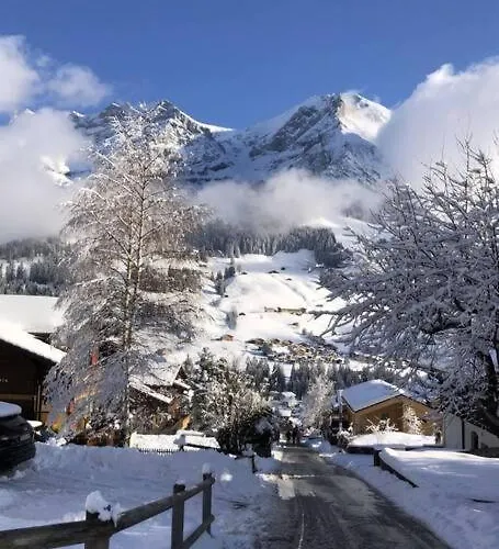 דירה 5min Walk To Audi Fis World Cup Swiss *