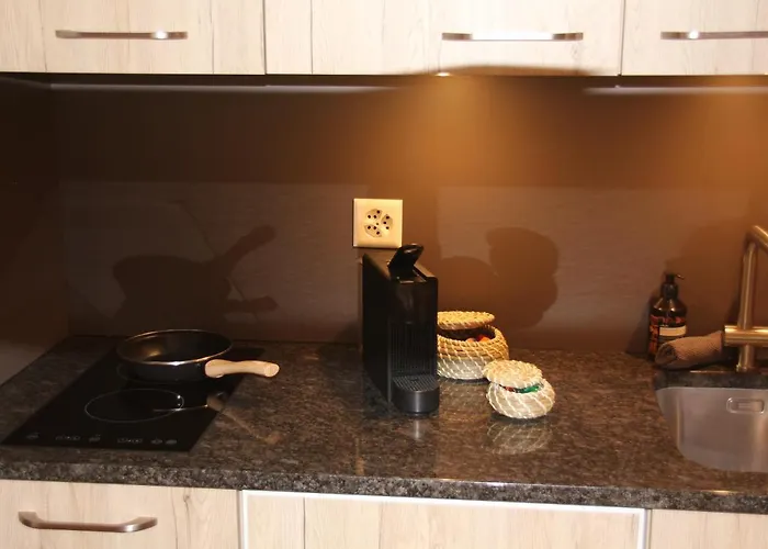 דירה 5min Walk To Audi Fis World Cup Swiss אדלבודן