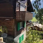 Διαμέρισμα 5min Walk To Audi Fis World Cup Swiss *