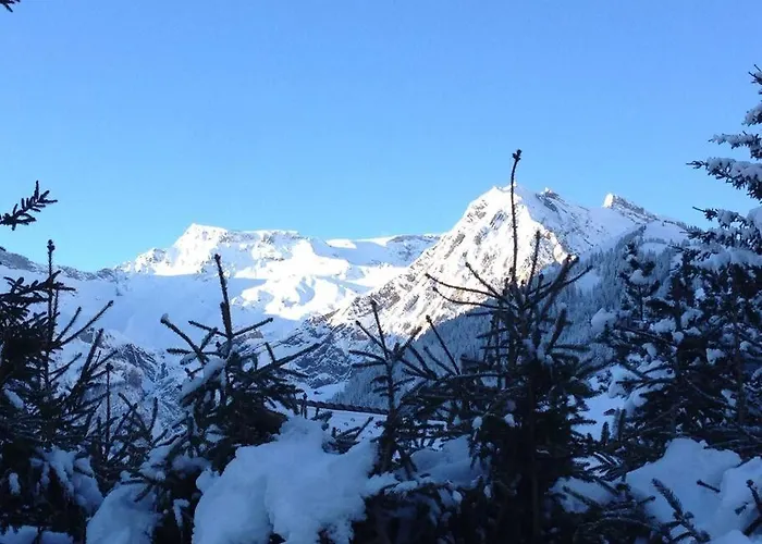 Apartman 5min Walk To Audi Fis World Cup Swiss Adelboden