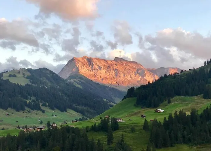 5min Walk To Audi Fis World Cup Swiss Apartman *