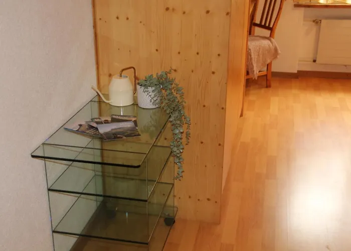 5min Walk To Audi Fis World Cup Swiss